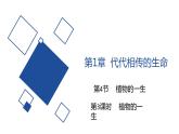 2020-2021学年浙教版科学七年级下册新课课件--1.4植物的一生（第3课时 ）