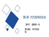 2020-2021学年浙教版科学七年级下册新课课件--1.4植物的一生（第1课时 种子的结构）