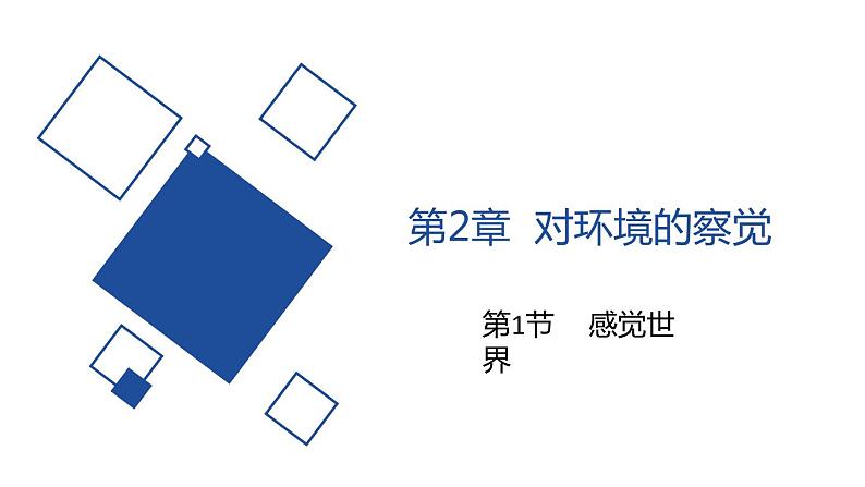 2020—2021学年浙教版科学八年级下册课件-2.1 感觉世界01