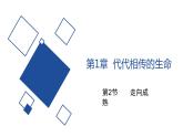 2020—2021学年浙教版科学七年级下册课件 1.2 走向成熟