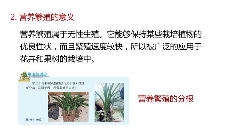 植物生殖方式的多样性PPT课件免费下载04