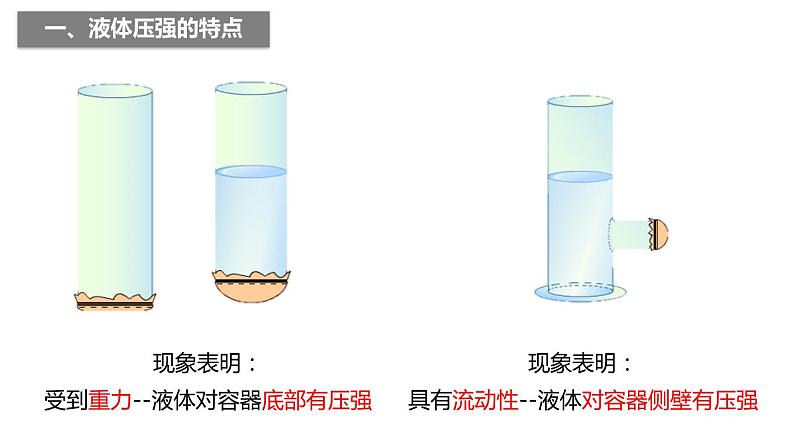 2020-2021学年浙教版七年级科学下册新课课件  第三章 运动和力第7节 压强  第3课时　液体的压强06