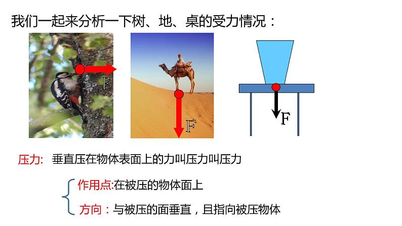 2020-2021学年浙教版七年级科学下册新课课件  第三章 运动和力 第7节 压强 第1课时　压力的作用效果05