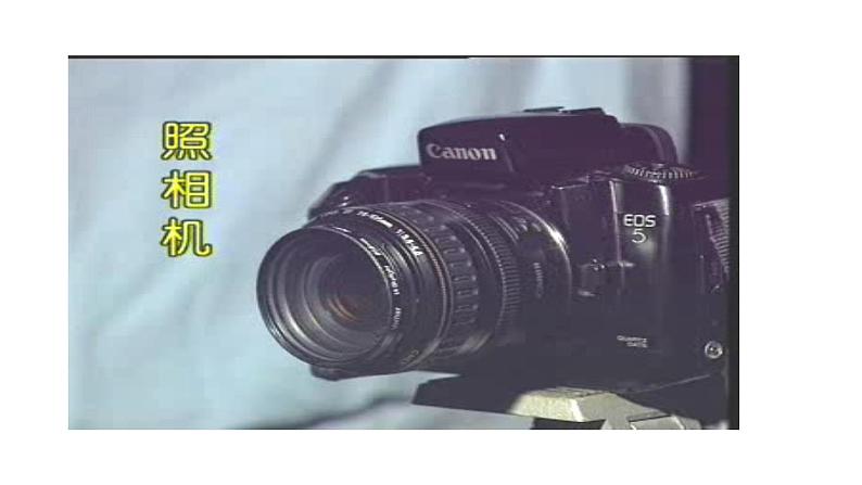 第3课时 眼睛第2页