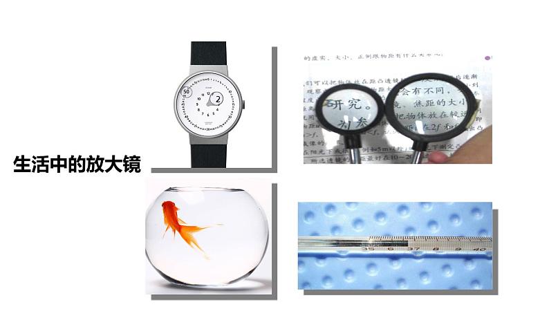 第3课时 眼睛第5页