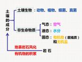 各种各样的土壤PPT课件免费下载