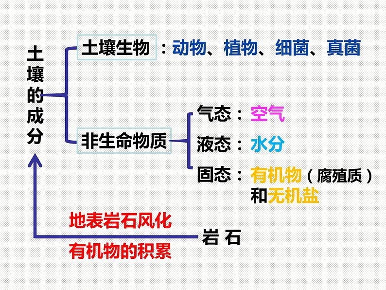 各种各样的土壤PPT课件免费下载02