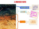 土壤的成分PPT课件免费下载