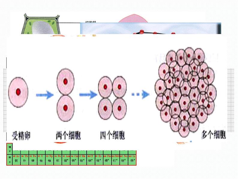 浙教版八年级下册科学课件：2.1 模型、符号的建立与作用第7页