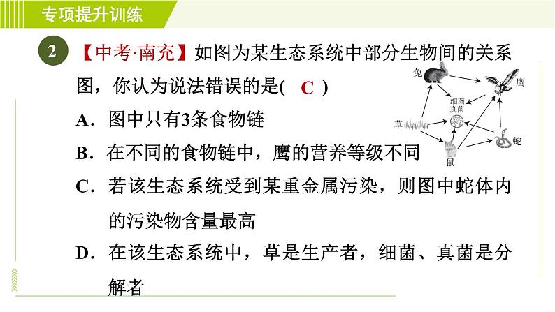 华师版七年级下册科学 第5章 专项提升训练(五) 生态系统 习题课件05