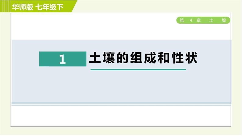 华师版七年级下册科学 第4章 4.1土壤的组成和性状 习题课件01