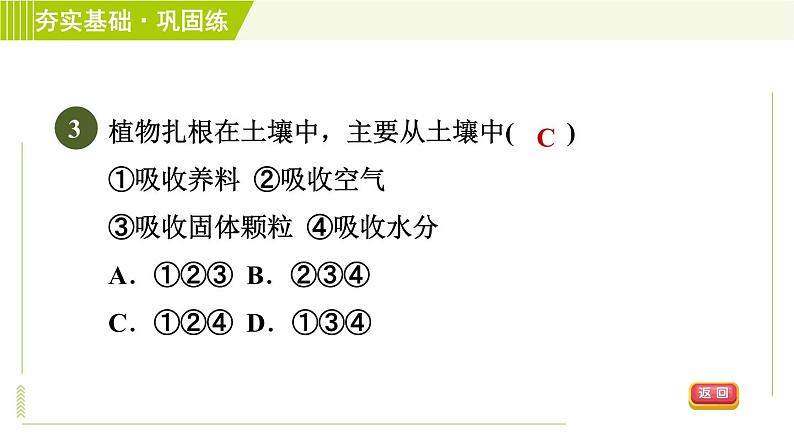 华师版七年级下册科学 第4章 4.2土壤与植物 习题课件05