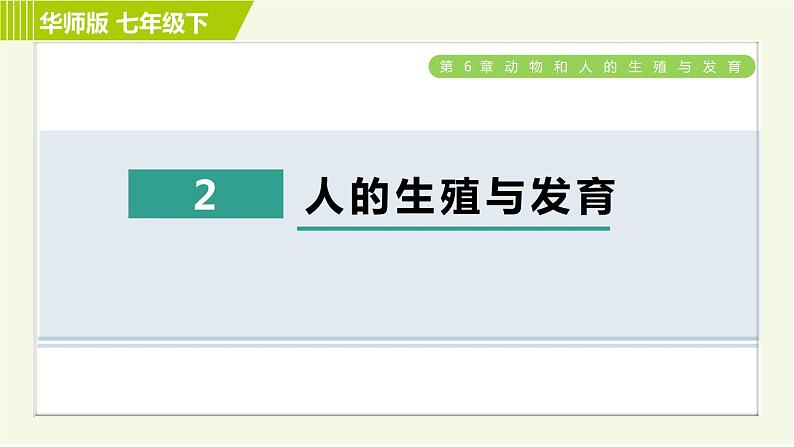 华师版七年级下册科学 第6章 6.2人的生殖与发育 习题课件01