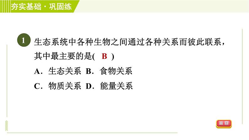 华师版七年级下册科学 第5章 5.2.2食物链和食物网　生态农业 习题课件03