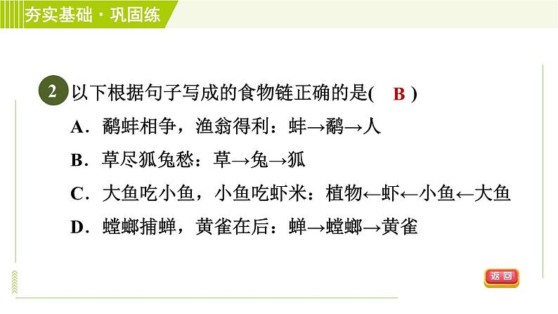 华师版七年级下册科学 第5章 5.2.2食物链和食物网　生态农业 习题课件04