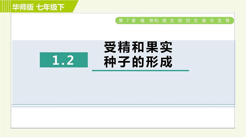 华师版七年级下册科学 第7章 7.1.2受精和果实　种子的形成 习题课件第1页