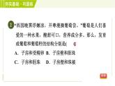 华师版七年级下册科学 第7章 7.1.2受精和果实　种子的形成 习题课件