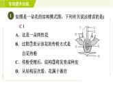 华师版七年级下册科学  专项提升训练(七)植物和微生物的生殖与发育 习题课件