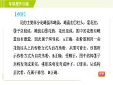 华师版七年级下册科学  专项提升训练(七)植物和微生物的生殖与发育 习题课件