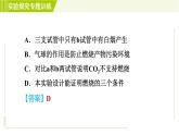 华师版七年级下册科学  期末专项复习 实验探究专题训练(二) 习题课件