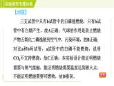 华师版七年级下册科学  期末专项复习 实验探究专题训练(二) 习题课件
