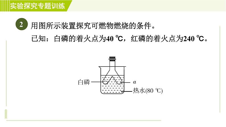 华师版七年级下册科学  期末专项复习 实验探究专题训练(二) 习题课件06