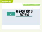 华师版七年级下册科学 第7章 7.2种子的萌发和幼苗的形成 习题课件