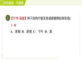 华师版七年级下册科学 第7章 7.2种子的萌发和幼苗的形成 习题课件