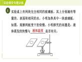华师版七年级下册科学  期末专项复习 实验探究专题训练(一) 习题课件
