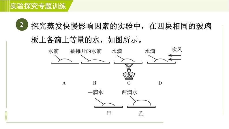 华师版七年级下册科学  期末专项复习 实验探究专题训练(一) 习题课件05