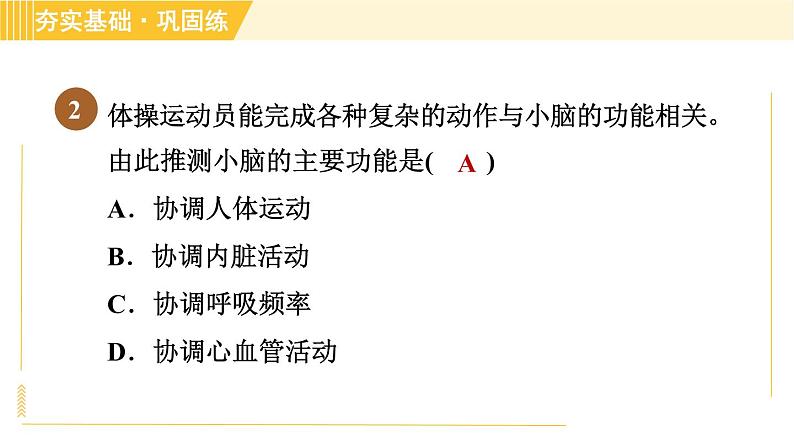 华师版八年级下册科学 第7章 习题课件04