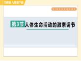 华师版八年级下册科学 第7章 习题课件