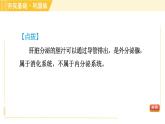 华师版八年级下册科学 第7章 习题课件