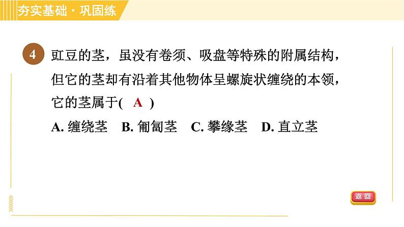 浙教版八年级下册科学 第4章 习题课件06