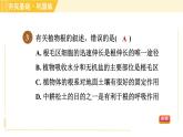 浙教版八年级下册科学 第4章 习题课件