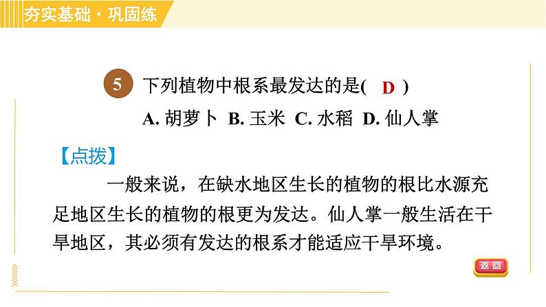 浙教版八年级下册科学 第4章 习题课件07