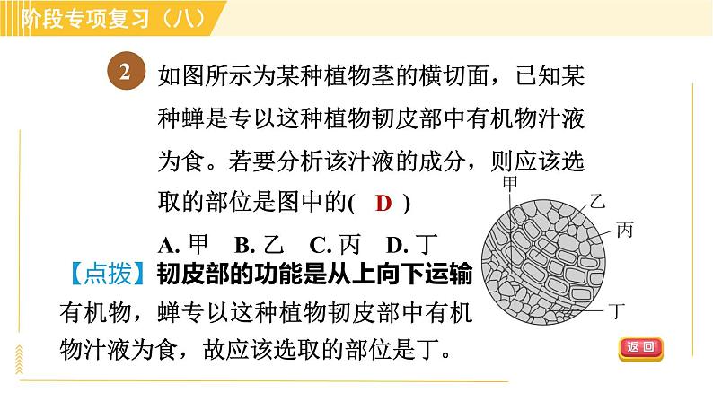 浙教版八年级下册科学 第4章 习题课件04