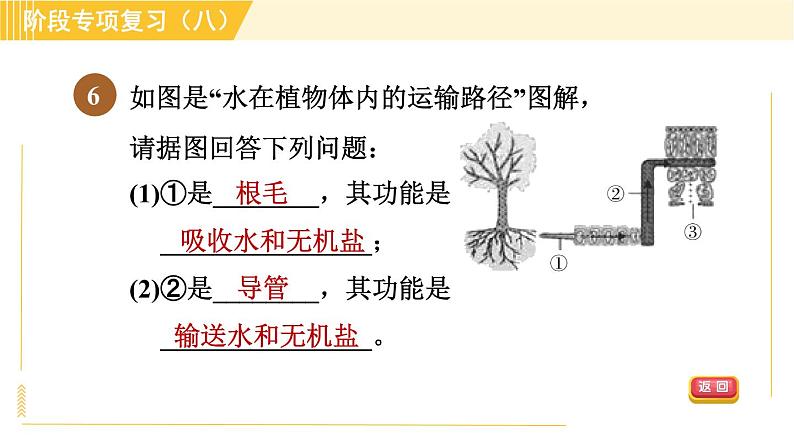 浙教版八年级下册科学 第4章 习题课件08