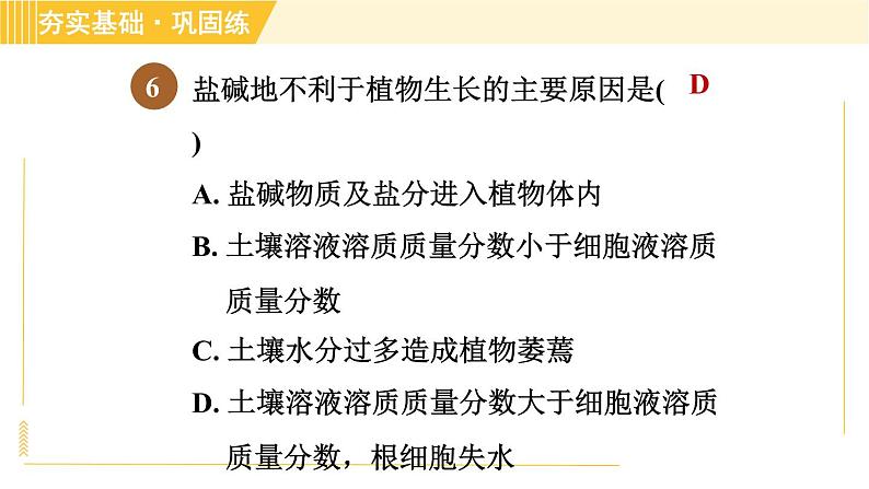 浙教版八年级下册科学 第4章 习题课件08