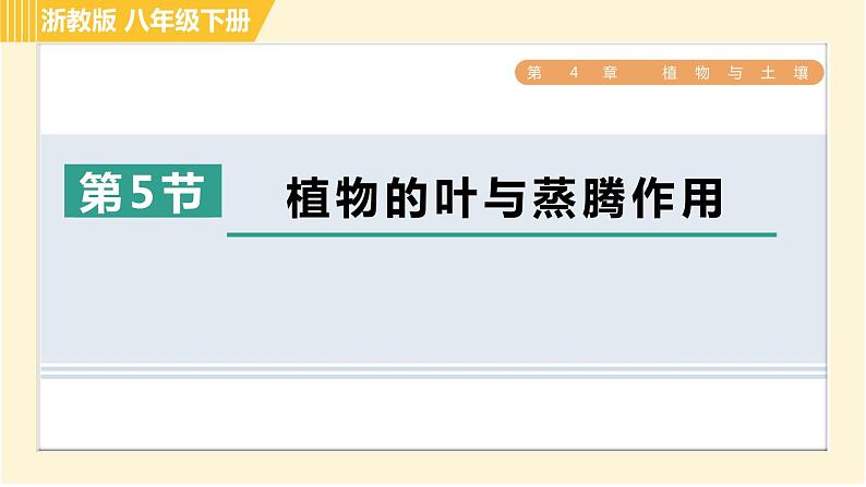 浙教版八年级下册科学 第4章 习题课件01