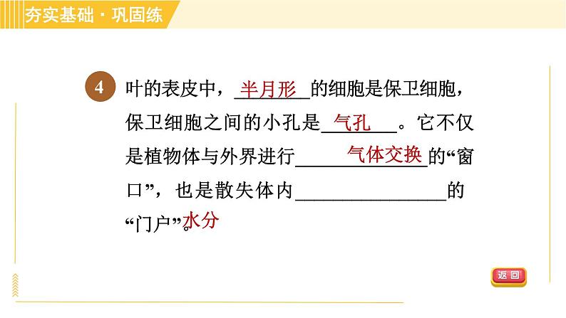 浙教版八年级下册科学 第4章 习题课件06