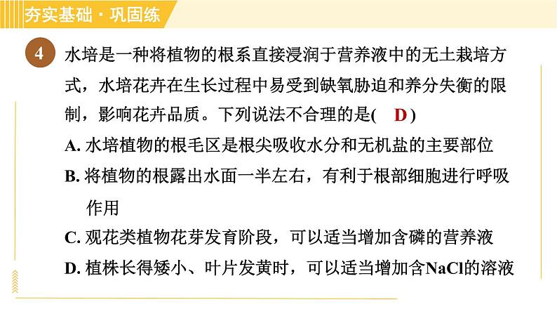 浙教版八年级下册科学 第4章 习题课件06