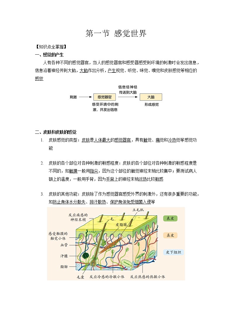 2.1 感觉世界-2020-2021学年科学七年级下册讲练测（浙教版）01