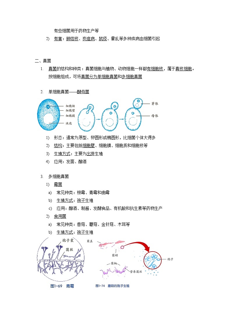 1.6 细菌和真菌的繁殖-2020-2021学年科学七年级下册讲练测（浙教版）02