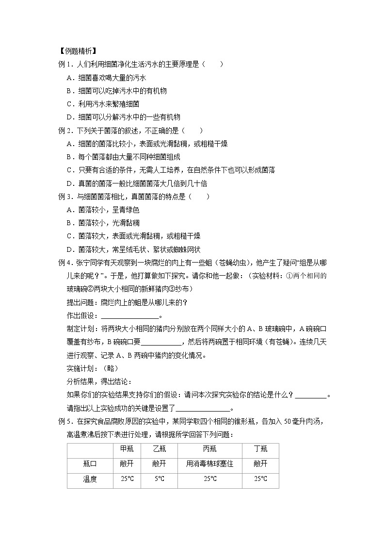 1.6 细菌和真菌的繁殖-2020-2021学年科学七年级下册讲练测（浙教版）03