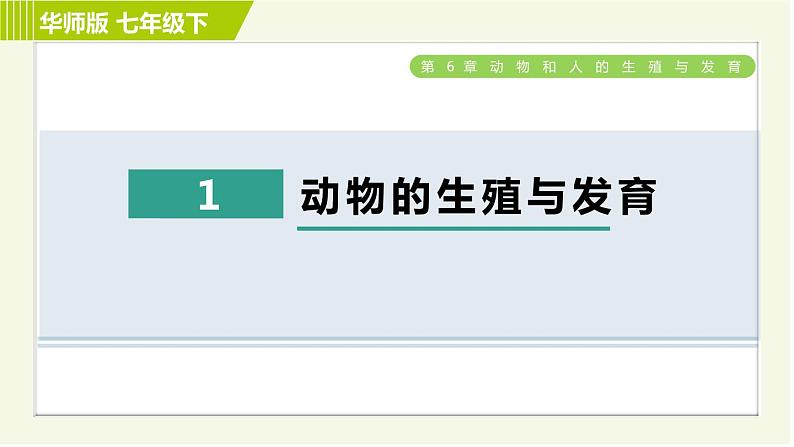 华师版七年级下册科学 第6章 6.1动物的生殖与发育 习题课件第1页