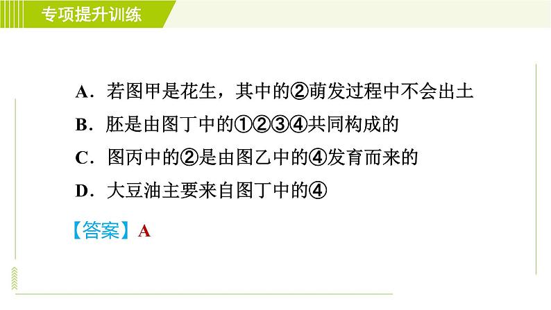 华师版七年级下册科学  专项提升训练(七)植物和微生物的生殖与发育 习题课件第8页