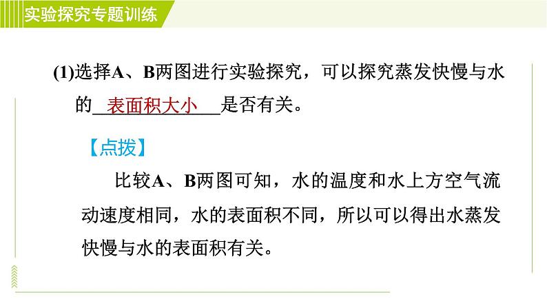 华师版七年级下册科学  期末专项复习 习题课件06