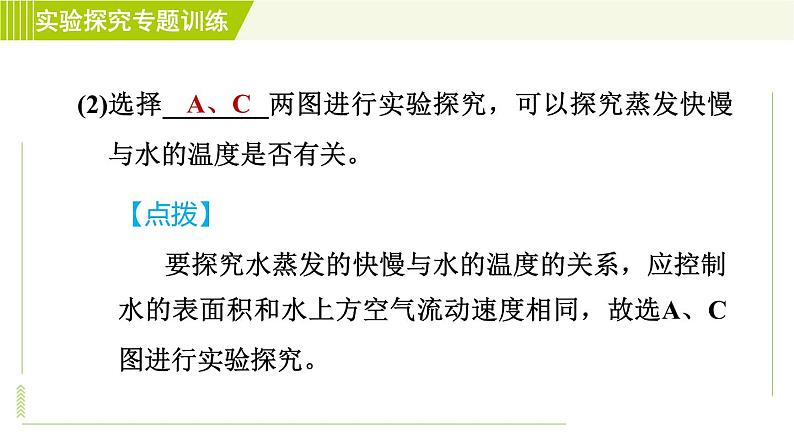 华师版七年级下册科学  期末专项复习 习题课件07