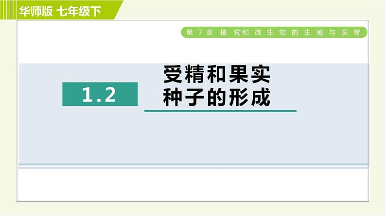 华师版七年级下册科学 第7章 习题课件01